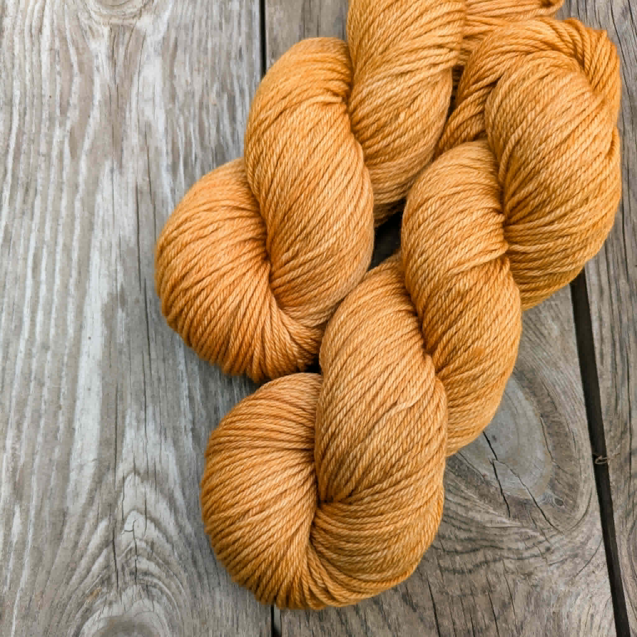 Cheddar